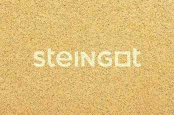 ���������� ������ Steingot ����� "Ƹ����" (������� �������)