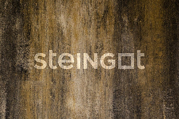 ���������� ������ Steingot ����� "����� ���� Stein Chrome"